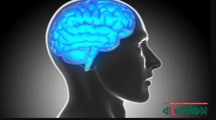 Brain May Flush Out Toxins After A Mental Workout: Research